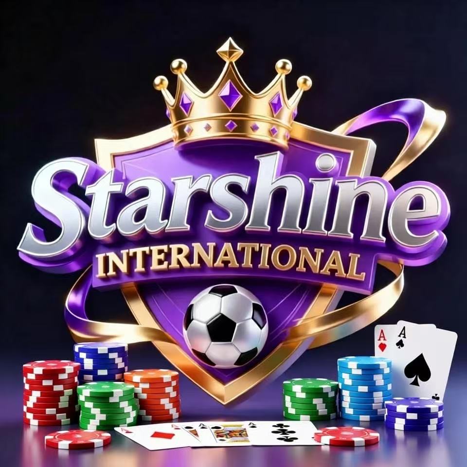 星耀国际游戏封面